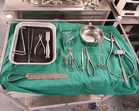 Dissection tray
